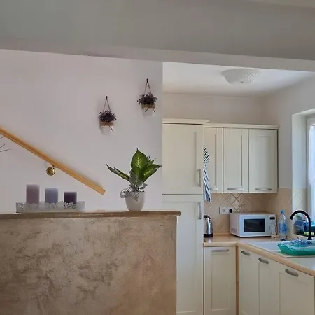 Sunny Maj * بوريتش